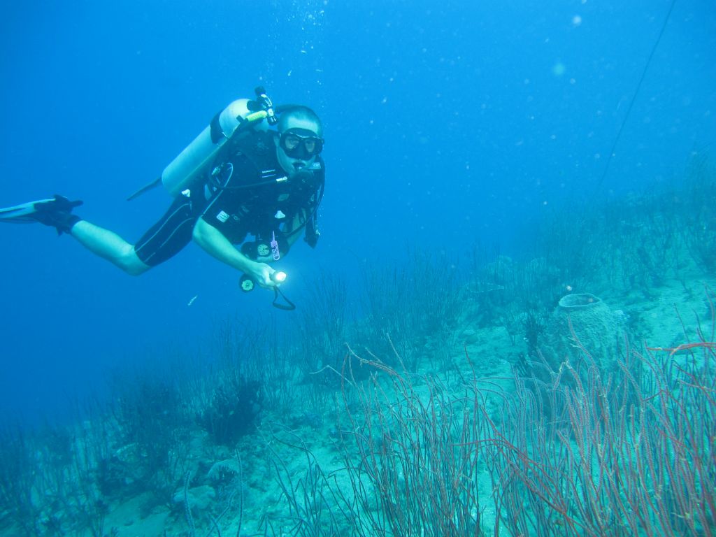 Diving on Bonege shipwreck near Honiara, Solomon Islands