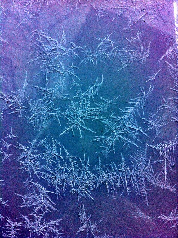 Fractal ice formations on a car in Thurgau, Switzerland