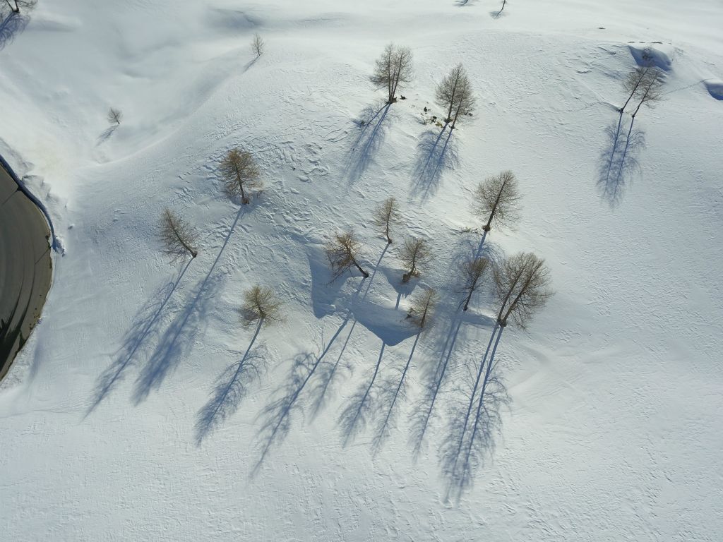 Tree shadows on fresh snow on the Bernina Pass, Switzerland