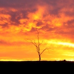 landscapes