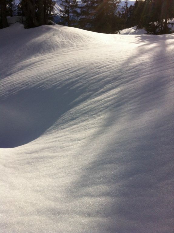 Tree shadows on powder snow above Beatenberg Berner Oberland, Switzerland