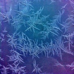 snowscapes