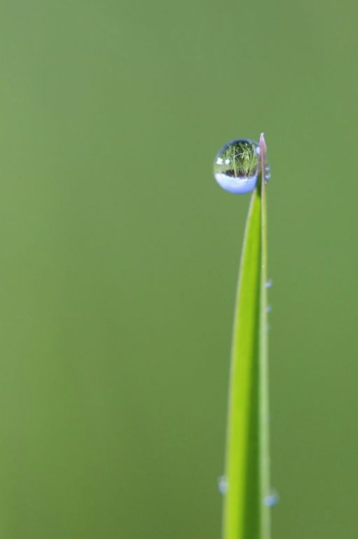 Inverted view of the world beyond the waterdrop at La Ville Chevalier, France