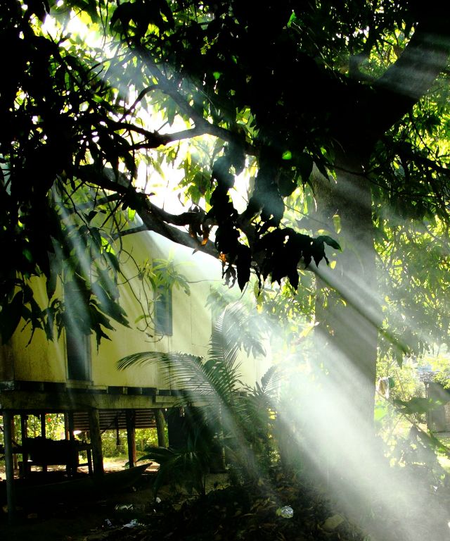 Streaming afternoon sunlight through smoke from cooking fires in Toumoa village Shortland Islands, Solomon Islands